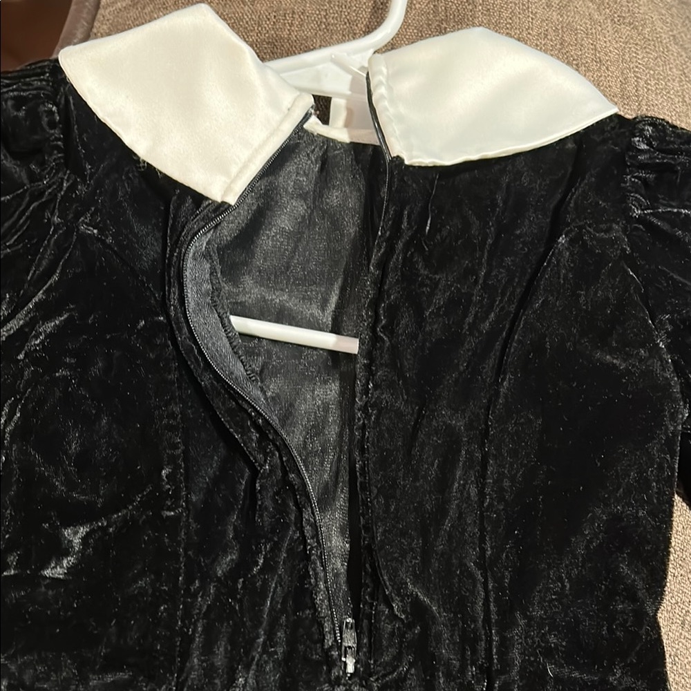 Black and White Formal Dress with Peter Pan Collar - Picture 5 of 5
